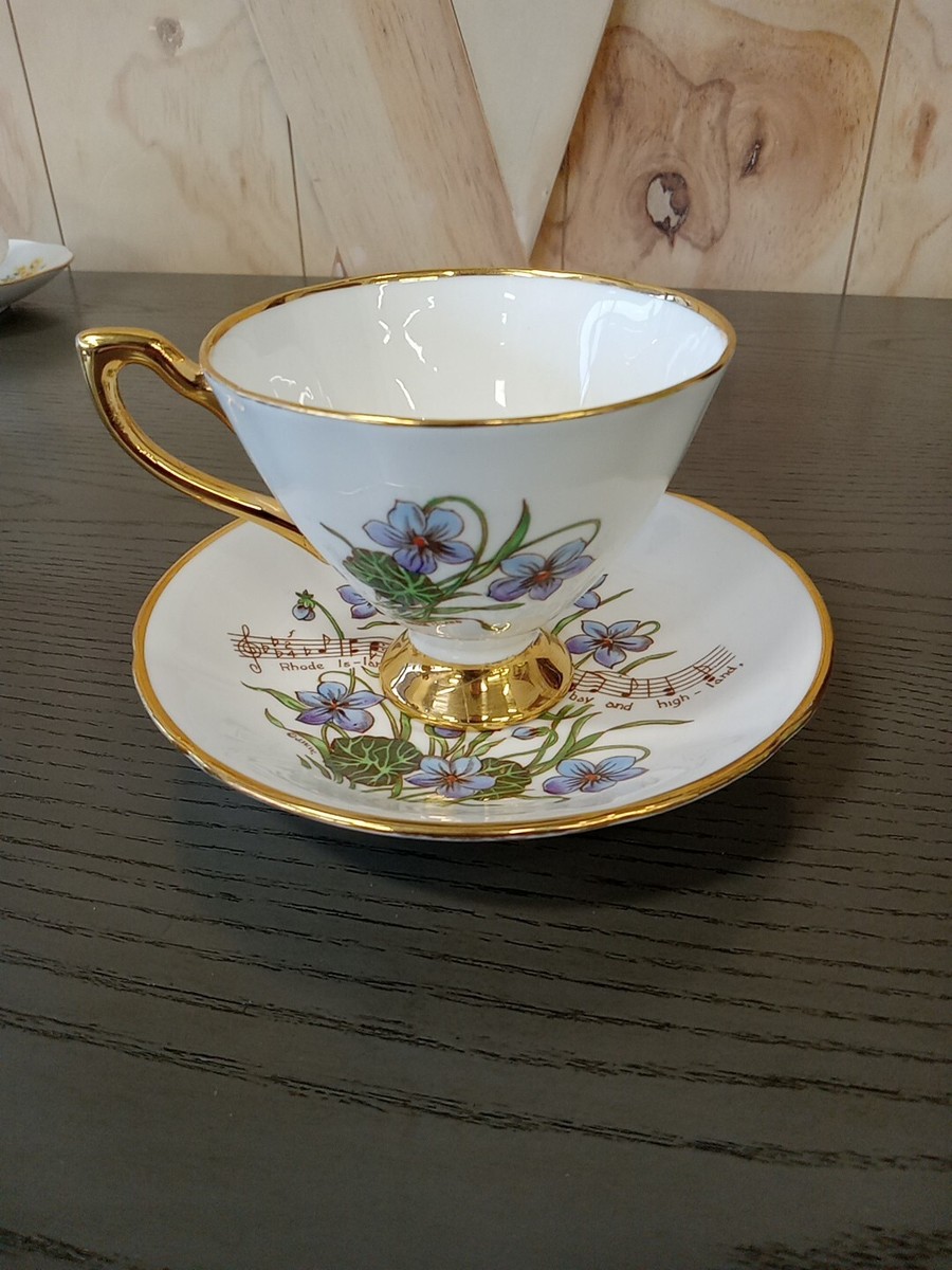 Vintage Royal Ardalt Fine Bone China England Rhode Island Tea Cup