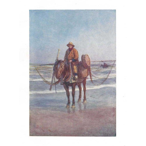 BELGIUM A Shrimper on Horseback at Coxyde - Antique Print 1908