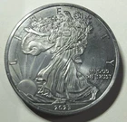 1 Ounce OZ 999 Fine Solid Titanium Walking Liberty Eagle Round Coin Ingot 2023