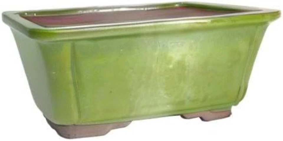Brussel's Serpent зеленый 8 дюймов прямоугольный глазурованный керамический горшок для стильного бонсай - Изображение 3 из 3