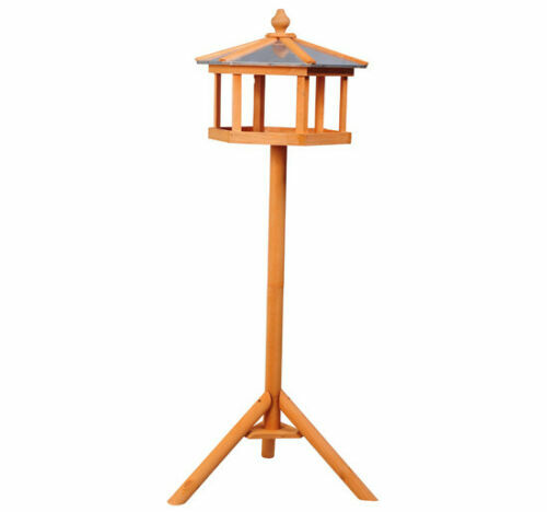 large image 4