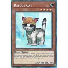 RA02-EN001 Rescue Cat : Collectors Rare Card : 1st Edition YuGiOh TCG