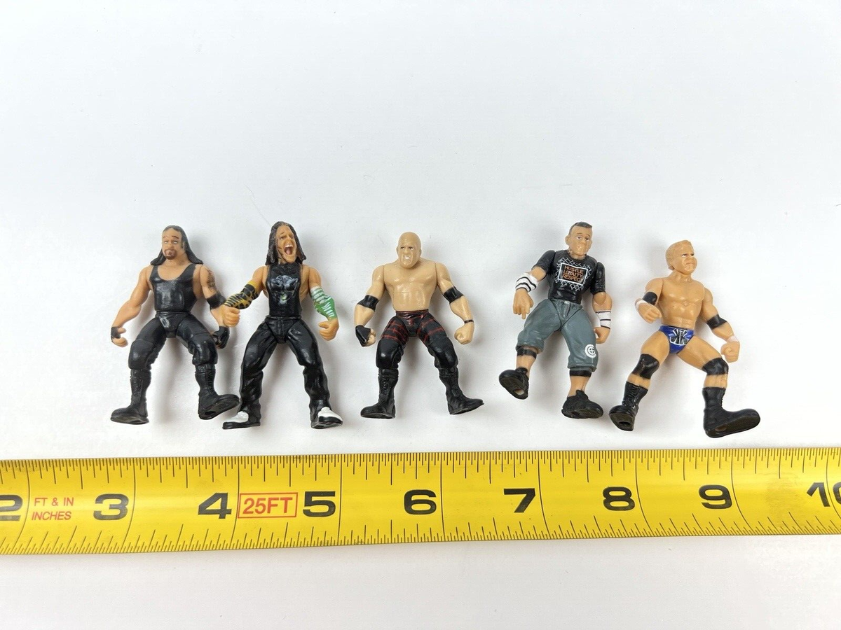 WWE TEENYMATES フィギュア　ミニ　16種　プロレス $_57.JPG?set_id=880000500F