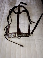 English Leather full size lunge caverson