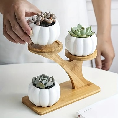 2-Tier Bamboo Stand - Compact Desktop & Balcony Display Shelf