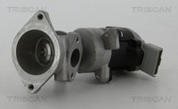 AGR Ventil Triscan 8813 17020 FüR Range Landrover Rover Sport Discovery L319 3 4