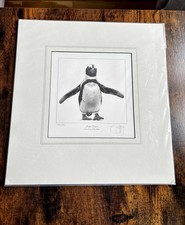 Gary Hodges Signed Limited Edition Jackass Penguin Wildlife Art 345/850 Mounted