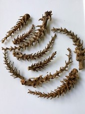 9 Pc Wood Dried Decor Basket Gourd Crafts 3-9 inches