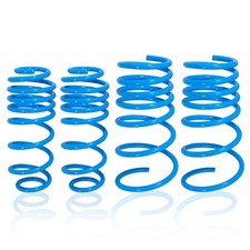 Tieferlegungsfedern Absenkfedern 30mm for Suzuki Swift 3 2005-2010 EZ, MZ