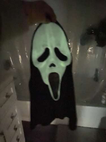 Vintage Ghostface Scream Maske Gen 2 Fun World Div Fantastic Faces Glow in the Dark - Bild 15 von 18