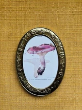 Framed 1960s Russula Mushroom Lithograph in Vintage Ornate Brass Frame