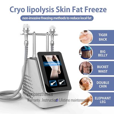 Cryo Machine Skin Facial Beauty E-M-S Fat Freeze Body Shaping Slimming Sculpting