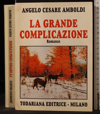 DIE GROSSE KOMPLIKATION. ENGEL CAESAR AMBOLDI. TODARIANA. 1ED.