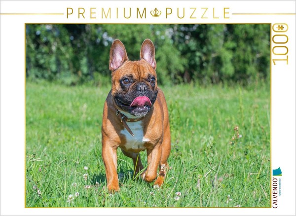 Calvendo Puzzle Fun In The Meadow | 1000 Pieces, Finished Size 25.2 × 18.9 In (6-image