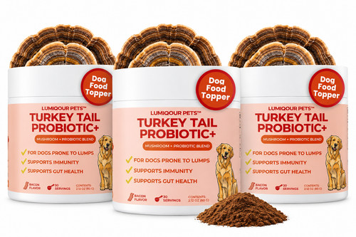 3x Turkey Tail Mushroom for Dogs – Turkey Tail Mushroom Powder with Probiotics