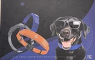 Aweec GeoPaws GPS Electric Dog Fence, Wireless Fence System Training Collar NEW