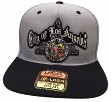 City Of Los Angeles Silver Script Black/Sports Grey Snapback