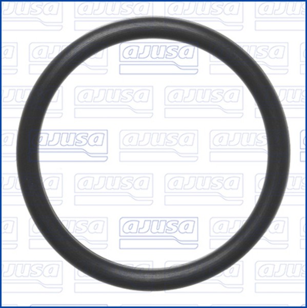 Ajusa Dichtung Wasserpumpe 16547700 FüR Opel Combo GroßRaumlimousine K9 Tour P17-image