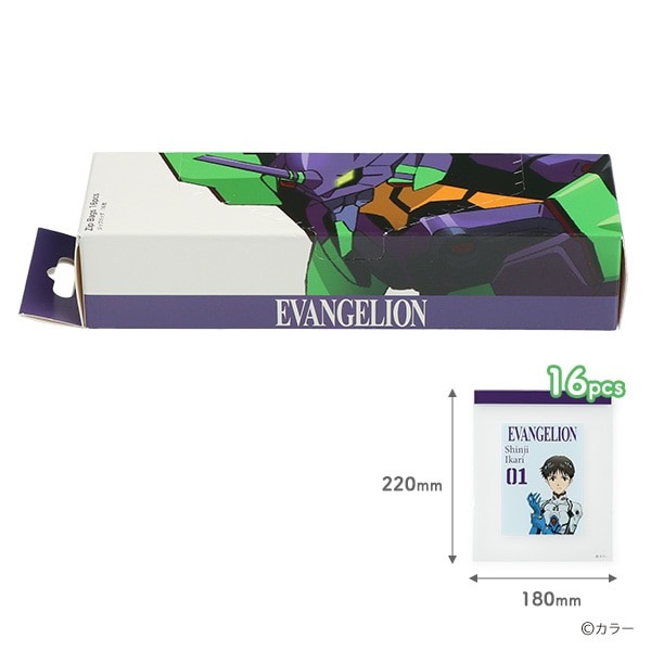 Zip bag Neon Genesis Evangelion Set of 9 | eBay