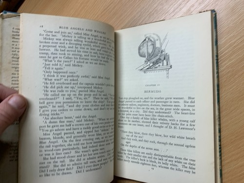 1947 Robert Gibbings "Blue Angels E Balene" Libro Illustrato Rilegato (P3) - Picture 11 of 19