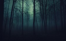 Landscape dark forest nature mist blue fall gloomy Custom Gaming Mat Desk
