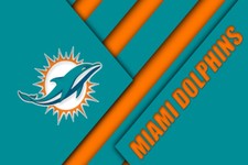 Miami Dolphins NFL Logo Football Wall Art Print Gift Fan POSTER / CANVAS