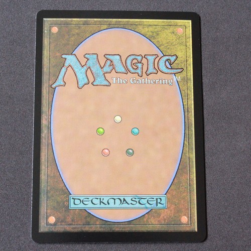 Forest FOIL 291 MTG Las Cavernas Perdidas de Ixalan (LCI) Tierra Casi Nuevo - Imagen 2 de 2