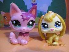 Petshop duo : chat persan #2465 + lapin bélier"#2466 ( N°2)