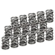 Supertech For SPR-H1005D-16 Honda H22A1/H22A4 Dual Valve Spring Set