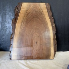 Black Walnut Live Edge Small Mini Slab Lumber 16x12x1 Lacquer 1 Side BEAUTIFUL
