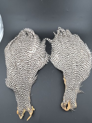 2 Lot Of Grizzly Neck Capes