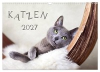 Katzen 2027 (Wandkalender 2027 Din A3 Quer), Calvendo Monatskalender