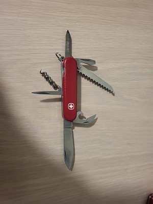 Wenger Delemont Alpine Backpacker