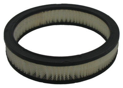 Air Filter Pentius PAB189