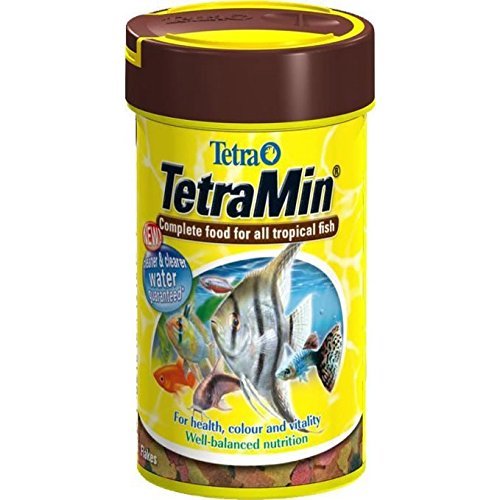 tropical fish food ebay