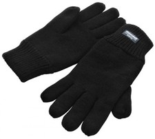 Thinsulate Gloves / Winter