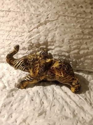 Collage Patchwork Elephant Safari Animal Ceramic Ornament Home Decor