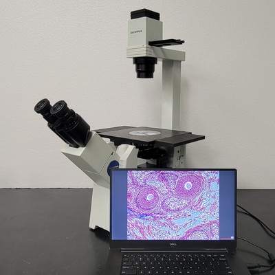 Olympus Microscope IX51 with Camera & Phase Contrast | Tissue Culture