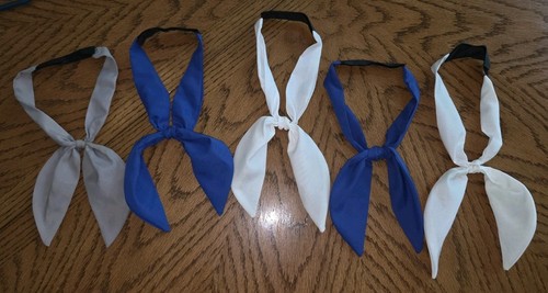 Lot Of 5 Small White, Blue & Gray Horseback Riding Equestrian Stock Tie - Tied