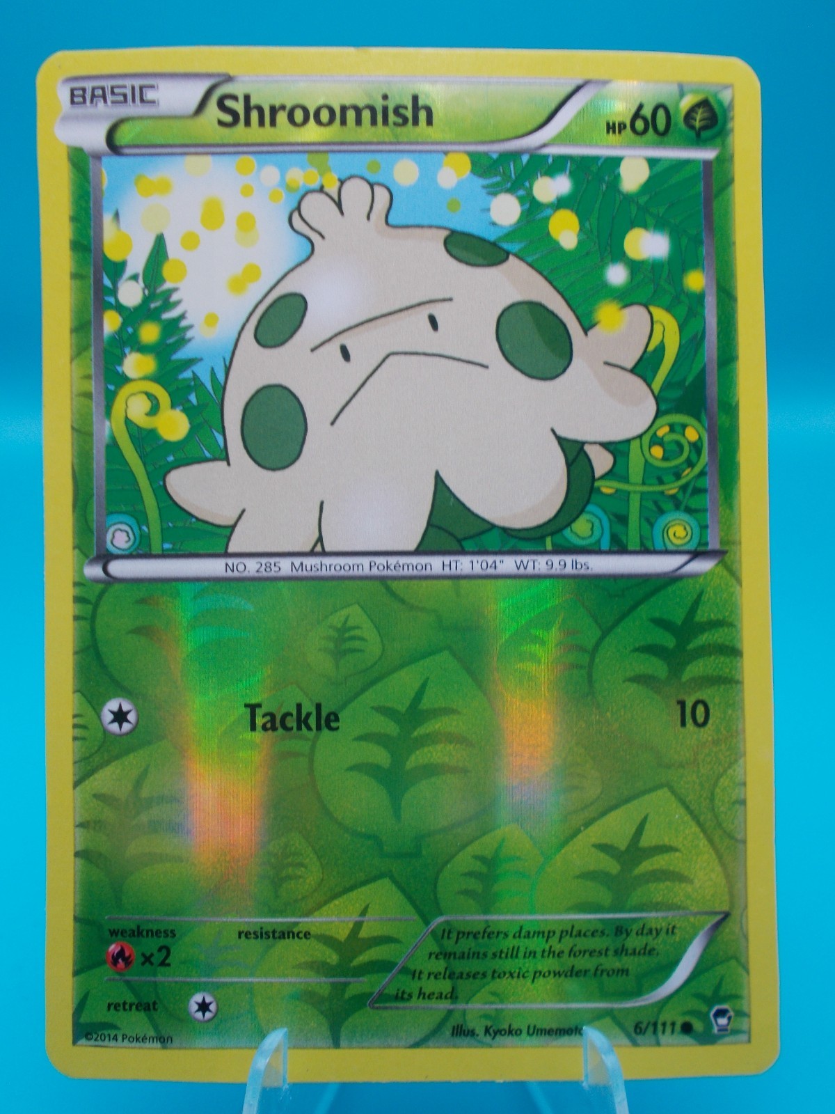 Shroomish 6/111 XY - Furious Fists Pokémon TCG Reverse Holo Lightly Played