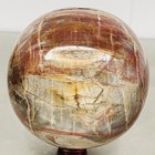 Natural Petrified Wood Polished Stone Quartz Crystal Sphere Ball Healing 3600G — photo 2