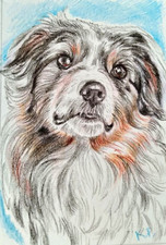 ACEO dog  ACEO dog watercolor  by the author original 3,5