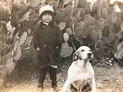 1904-1918 Real Photo Postcard RPPC ~ Small Boy with Cute Dog in Cactus Patch WOW
