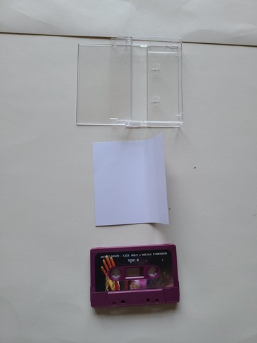 AXEL HOLY & MICALL PARKNSUN GOT IT DOWN EP LIMITED EDITION CASSETTE TAPE - Picture 5 of 12