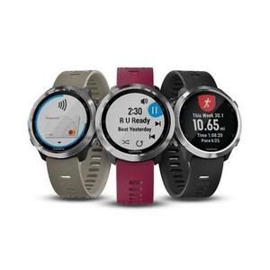 ebay garmin 645