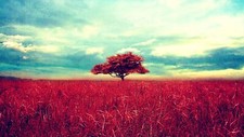 Landscape field trees Custom Gaming Mat Desk