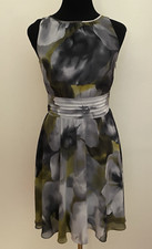 ANN TAYLOR DRESS~0~GRAYS GREEN~FIT & FLARE~SLEEVELESS~SEMI SHEER OVER LINING~