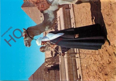 Ansichtskarte -: Gizeh, Sphinx und Pyramiden, Kamel