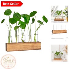 Chic Plant Propagation Station with Retro Wooden Stand  5 Glass Tubes