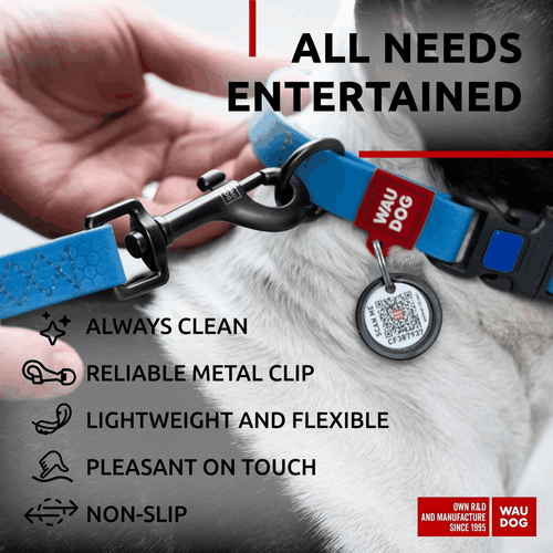 Waterproof Dog Leash 4 Ft 6 Ft Anti Slip Dog Leash for Large Dogs Small and - Picture 5 of 6